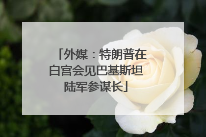 外媒：特朗普在白宫会见巴基斯坦陆军参谋长