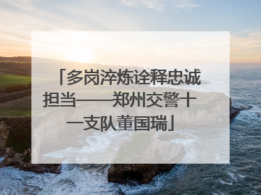 多岗淬炼诠释忠诚担当——郑州交警十一支队董国瑞