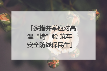 多措并举应对高温“烤”验 筑牢安全防线保民生