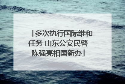多次执行国际维和任务 山东公安民警陈强亮相国新办