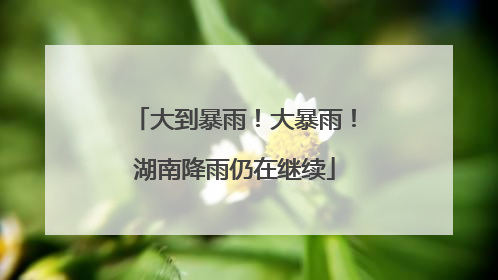 大到暴雨！大暴雨！湖南降雨仍在继续