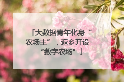 大数据青年化身“农场主”，返乡开设“数字农场”