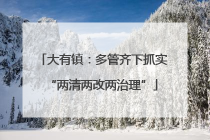 大有镇：多管齐下抓实“两清两改两治理”