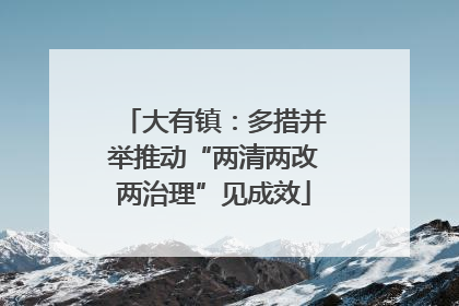 大有镇：多措并举推动“两清两改两治理”见成效