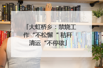 大虹桥乡：禁烧工作“不松懈“ 秸秆清运“不停歇