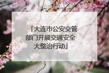 大连市公安交管部门开展交通安全大整治行动