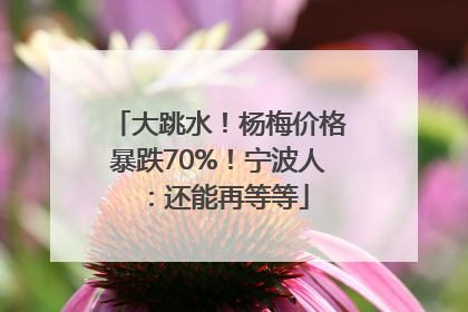 大跳水！杨梅价格暴跌70%！宁波人：还能再等等