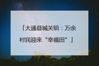 大通县城关镇：万余村民迎来“幸福田”