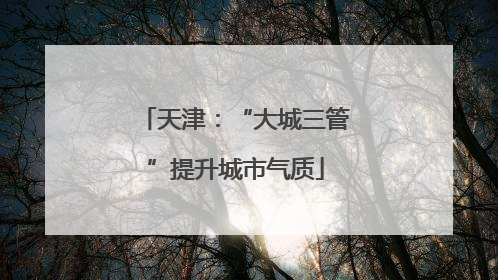 天津：“大城三管”提升城市气质