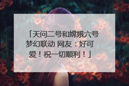 天问二号和嫦娥六号梦幻联动 网友：好可爱！祝一切顺利！