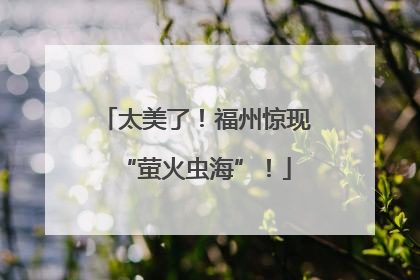 太美了！福州惊现“萤火虫海”！