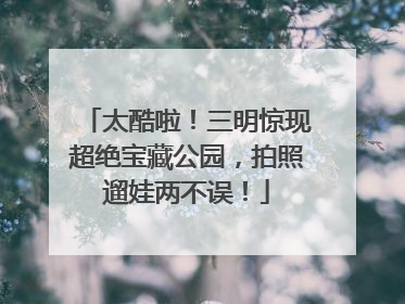 太酷啦！三明惊现超绝宝藏公园，拍照遛娃两不误！
