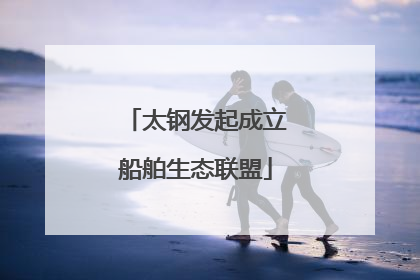 太钢发起成立船舶生态联盟