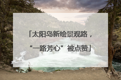 太阳岛新绘景观路，“一路芳心”被点赞
