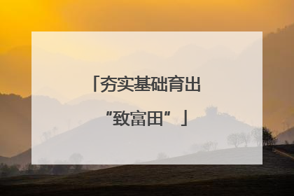 夯实基础育出“致富田”