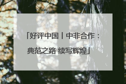 好评中国丨中非合作：典范之路 续写辉煌