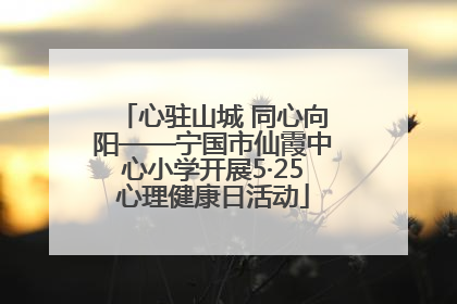 心驻山城 同心向阳——宁国市仙霞中心小学开展5·25心理健康日活动