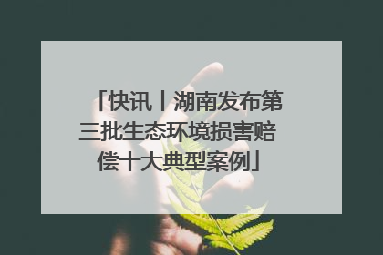 快讯丨湖南发布第三批生态环境损害赔偿十大典型案例
