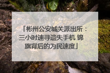 彬州公安城关派出所：三小时速寻遗失手机 锦旗背后的为民速度