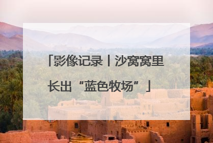 影像记录丨沙窝窝里长出“蓝色牧场”