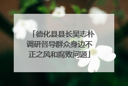 德化县县长吴志朴调研督导群众身边不正之风和腐败问题