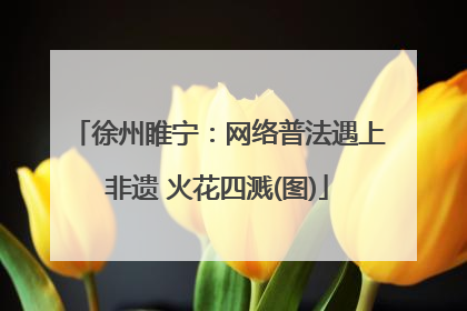 徐州睢宁：网络普法遇上非遗 火花四溅(图)