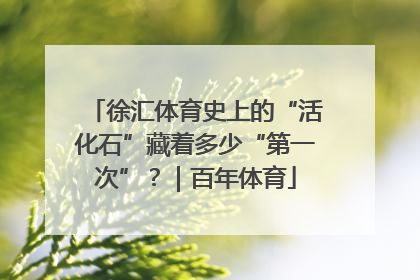 徐汇体育史上的“活化石”藏着多少“第一次”？｜百年体育