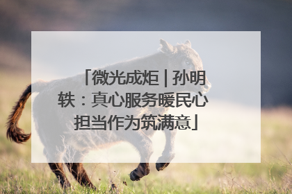 微光成炬 | 孙明轶：真心服务暖民心 担当作为筑满意