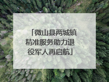 微山县两城镇精准服务助力退役军人再启航