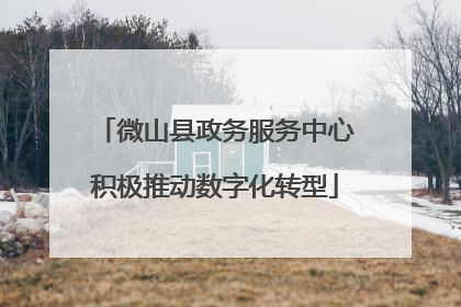 微山县政务服务中心积极推动数字化转型