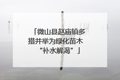 微山县赵庙镇多措并举为绿化苗木“补水解渴”
