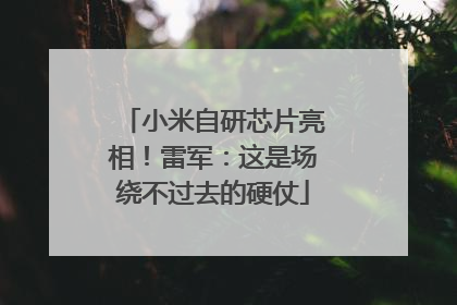 小米自研芯片亮相！雷军：这是场绕不过去的硬仗