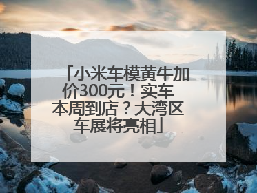 小米车模黄牛加价300元！实车本周到店？大湾区车展将亮相