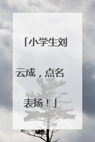 小学生刘云成，点名表扬！