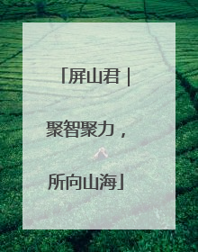 屏山君｜聚智聚力，所向山海