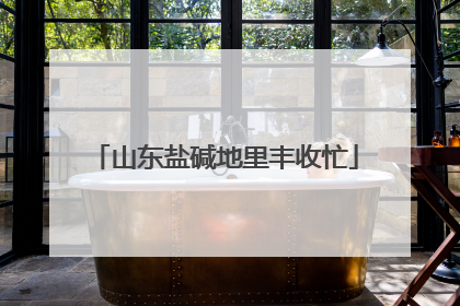 山东盐碱地里丰收忙