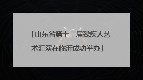 山东省第十一届残疾人艺术汇演在临沂成功举办