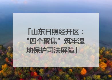 山东日照经开区：“四个聚焦”筑牢湿地保护司法屏障