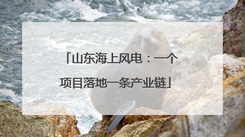 山东海上风电：一个项目落地一条产业链