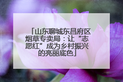 山东聊城东昌府区烟草专卖局：让“志愿红”成为乡村振兴的亮丽底色