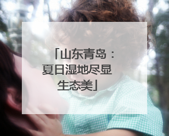 山东青岛：夏日湿地尽显生态美