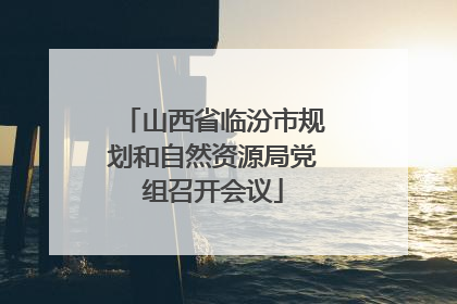 山西省临汾市规划和自然资源局党组召开会议