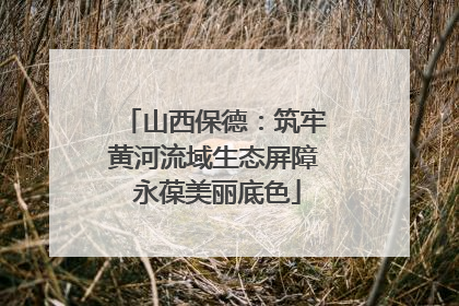 山西保德：筑牢黄河流域生态屏障 永葆美丽底色