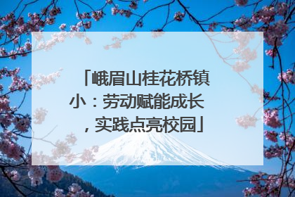 峨眉山桂花桥镇小：劳动赋能成长，实践点亮校园