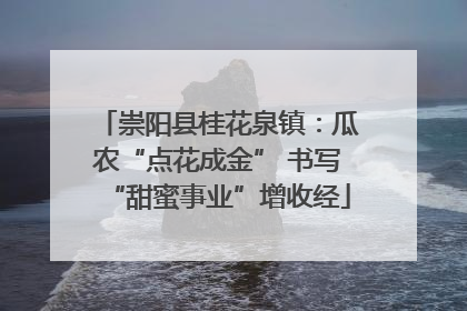 崇阳县桂花泉镇：瓜农“点花成金” 书写“甜蜜事业”增收经