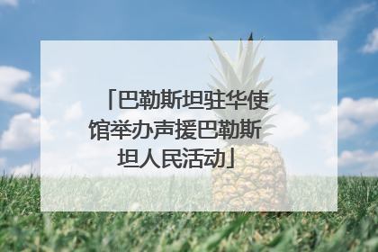巴勒斯坦驻华使馆举办声援巴勒斯坦人民活动