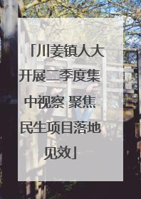 川姜镇人大开展二季度集中视察 聚焦民生项目落地见效