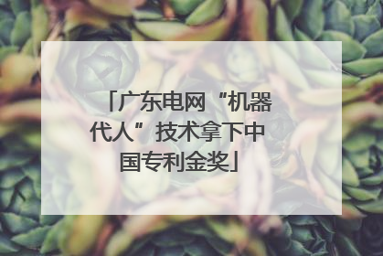 广东电网“机器代人”技术拿下中国专利金奖