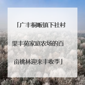 广丰桐畈镇下社村果丰苑家庭农场的百亩桃林迎来丰收季