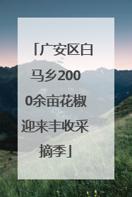 广安区白马乡2000余亩花椒迎来丰收采摘季